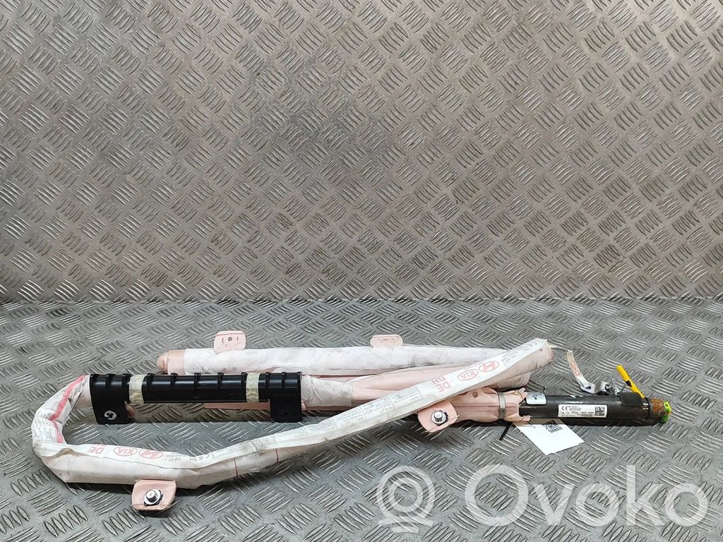KIA Niro Airbag de toit