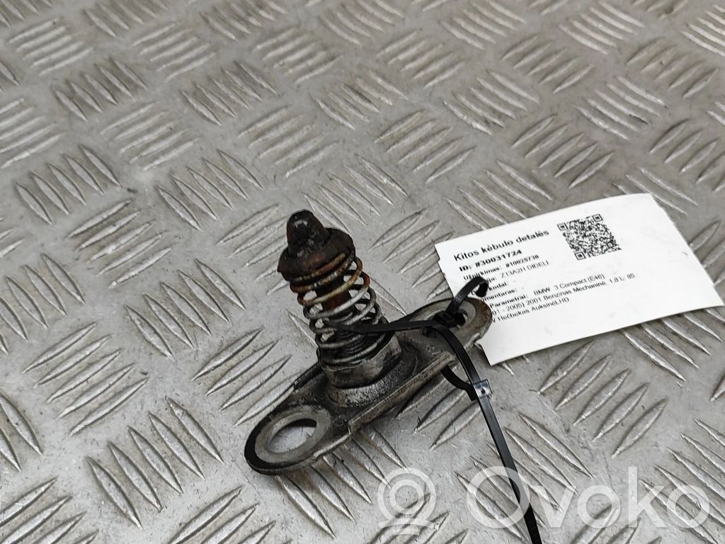 Muu korin osa   8229807