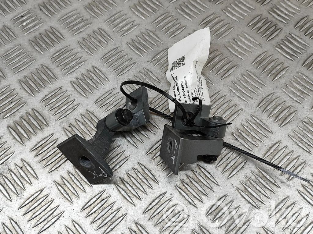 BMW X2 U10 Front door hinges set 