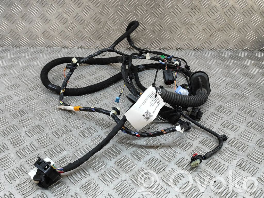 Tesla Model Y Cableado de puerta delantera 