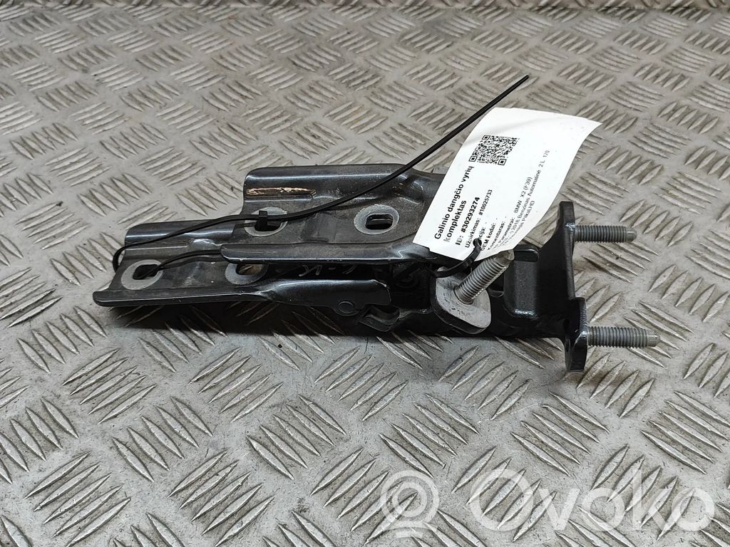 BMW X2 F39 Tailgate/trunk/boot hinge 