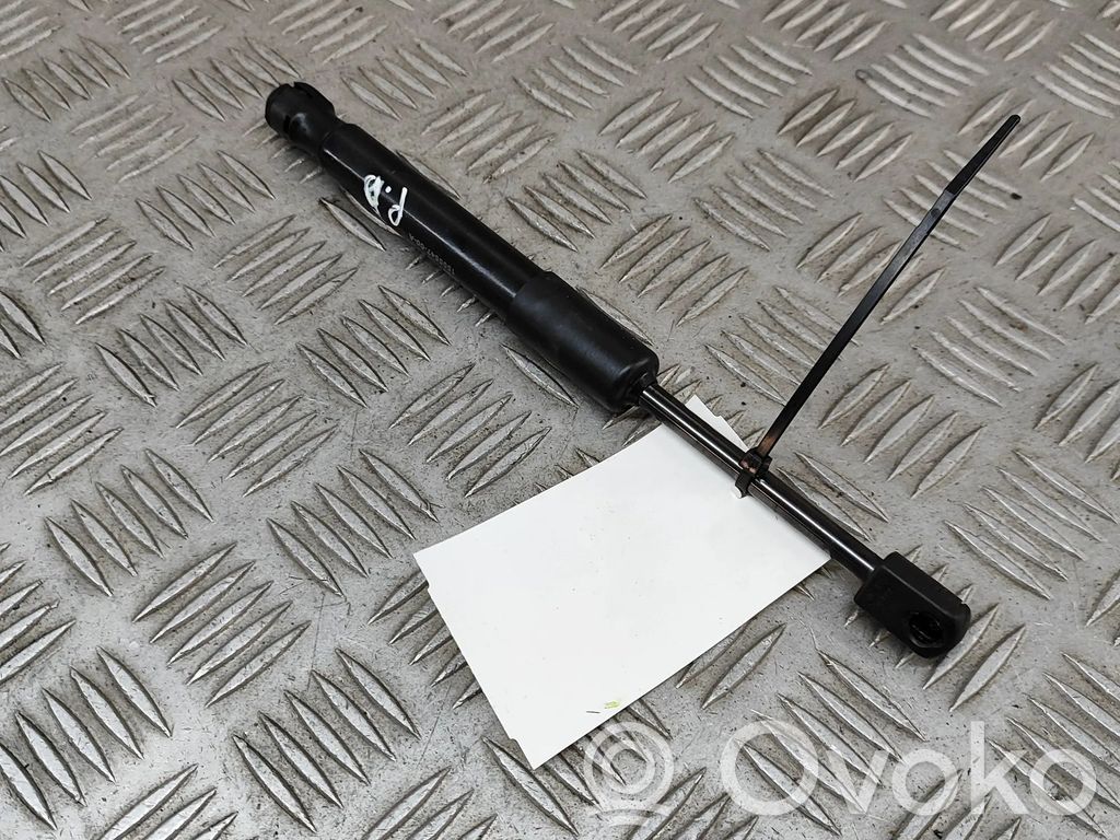 Tesla Model Y Ammortizzatore portellone anteriore/cofano 