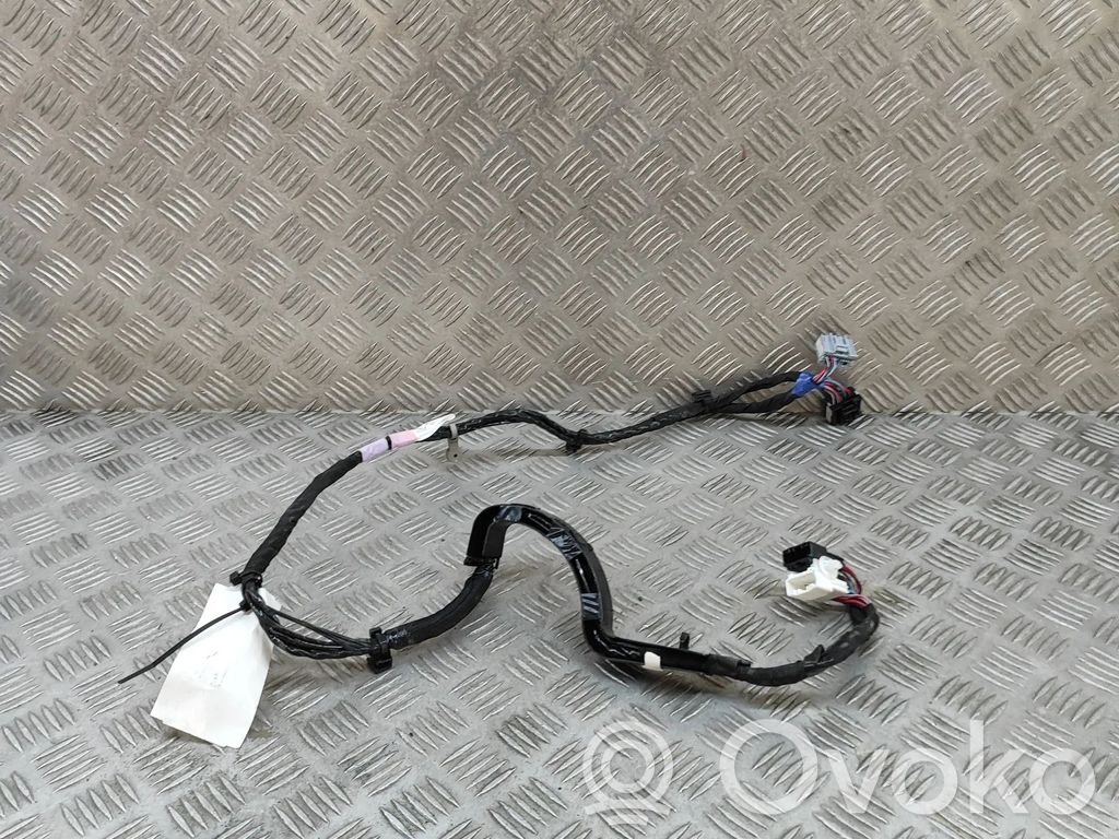 Tesla Model X Cableado de puerta trasera 