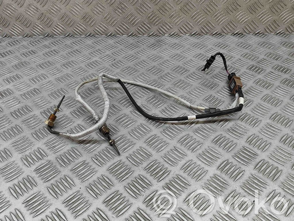 Volkswagen T-Roc Abgastemperatursensor 