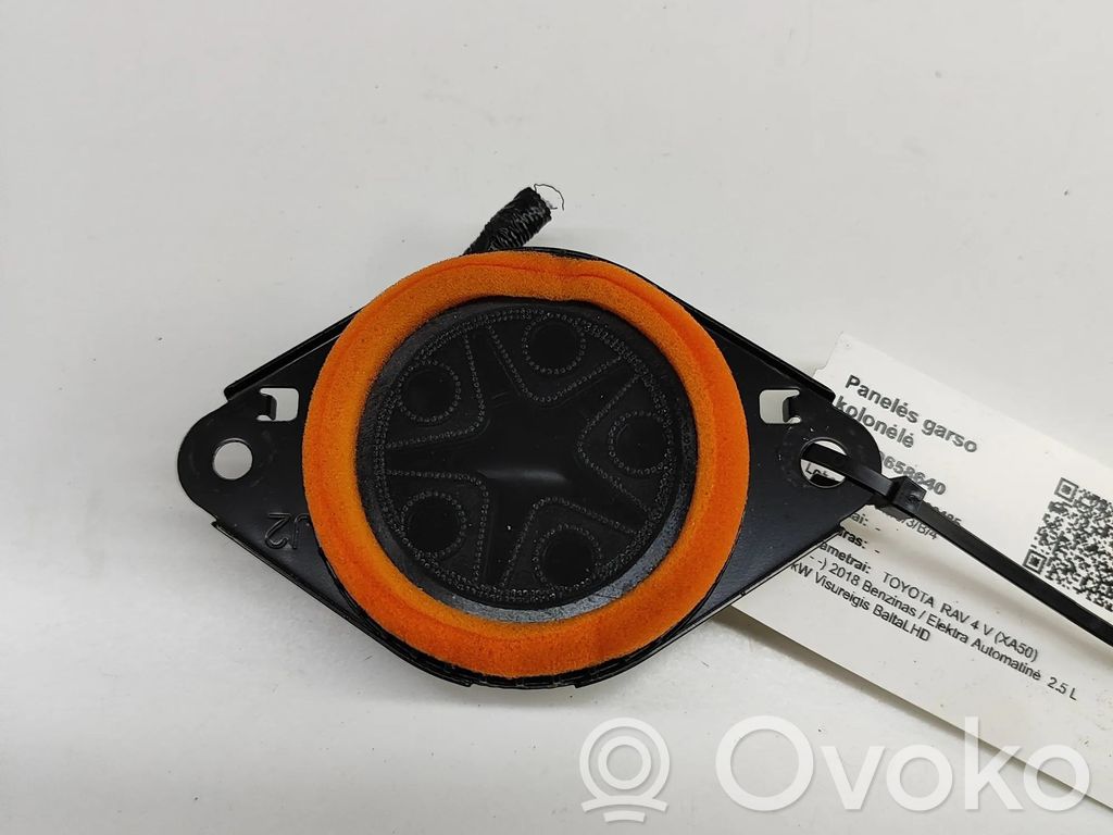 Toyota RAV 4 (XA50) Panel speaker 