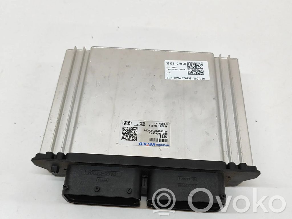 KIA Sportage Engine control unit/module 