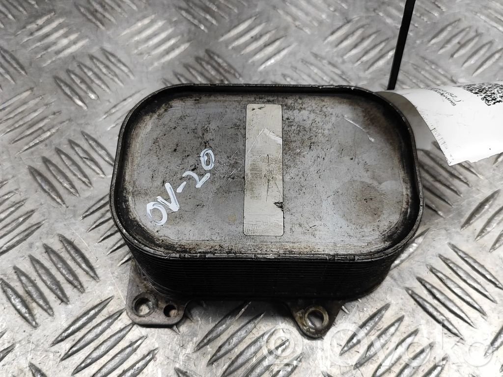 Radiator ulei motor   03N117021