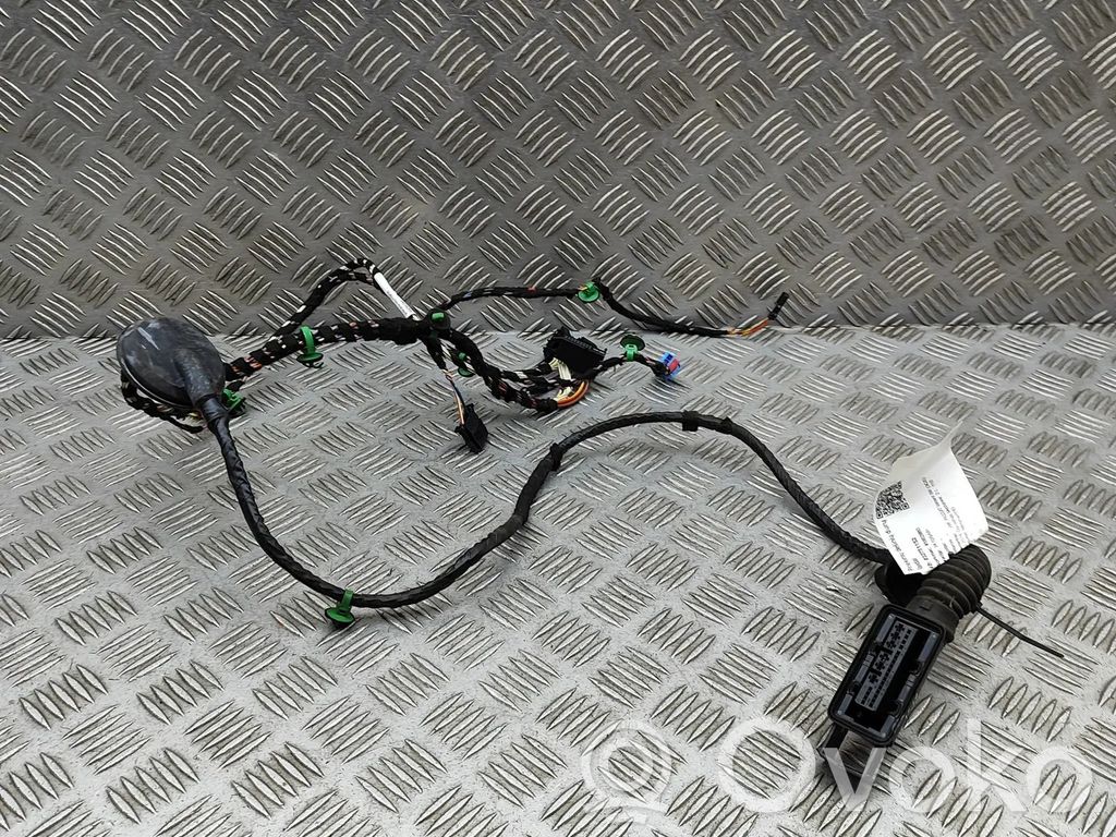 Volkswagen PASSAT B8 Cableado de puerta delantera 