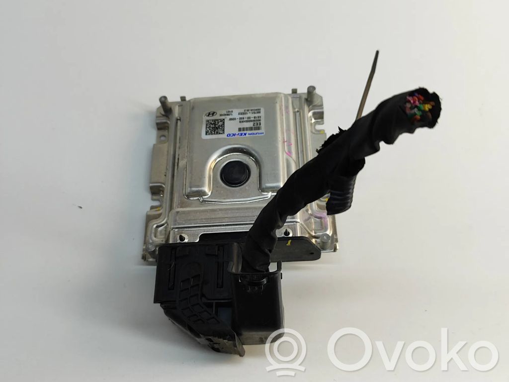 Hyundai IONIQ 6 Engine control unit/module 