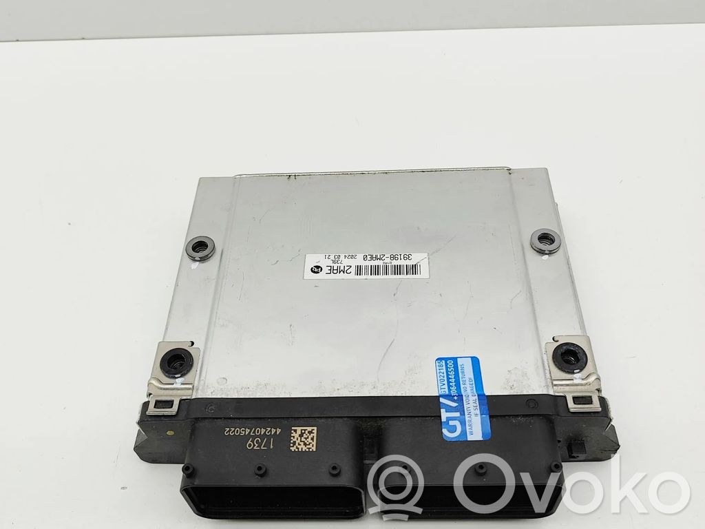 Sterownik / Moduł ECU   391992M050000000,391992M050,391312MAE0,9001300739KA