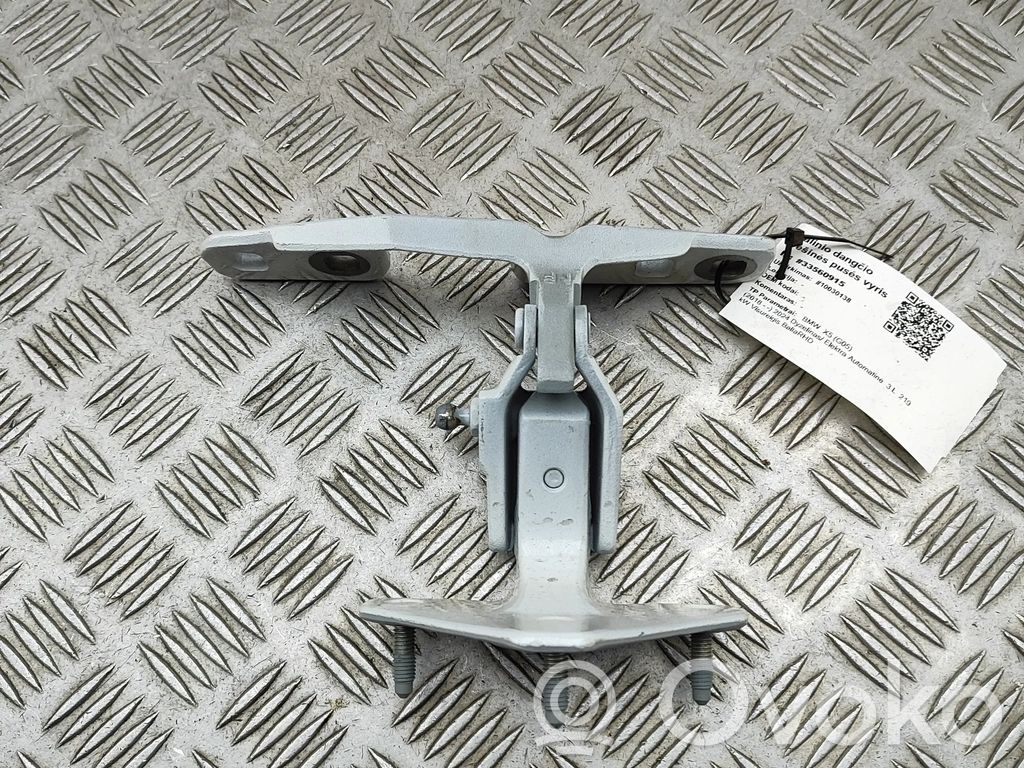 BMW X5 G05 Aizmugurējā pārsega eņģe (-ess) 