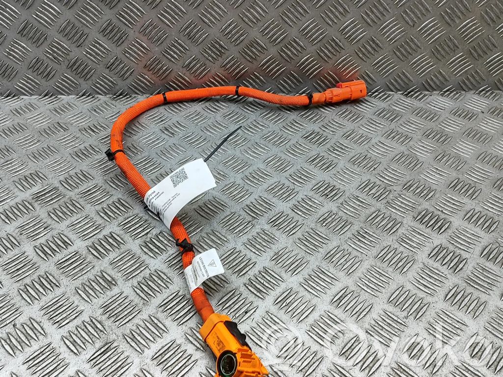 Porsche Taycan 9J1 Otros cableados 