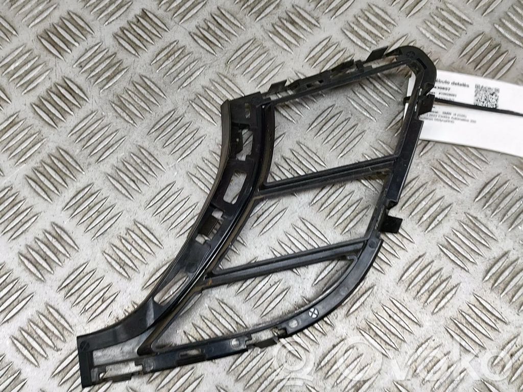 Kühlergrill   8081682