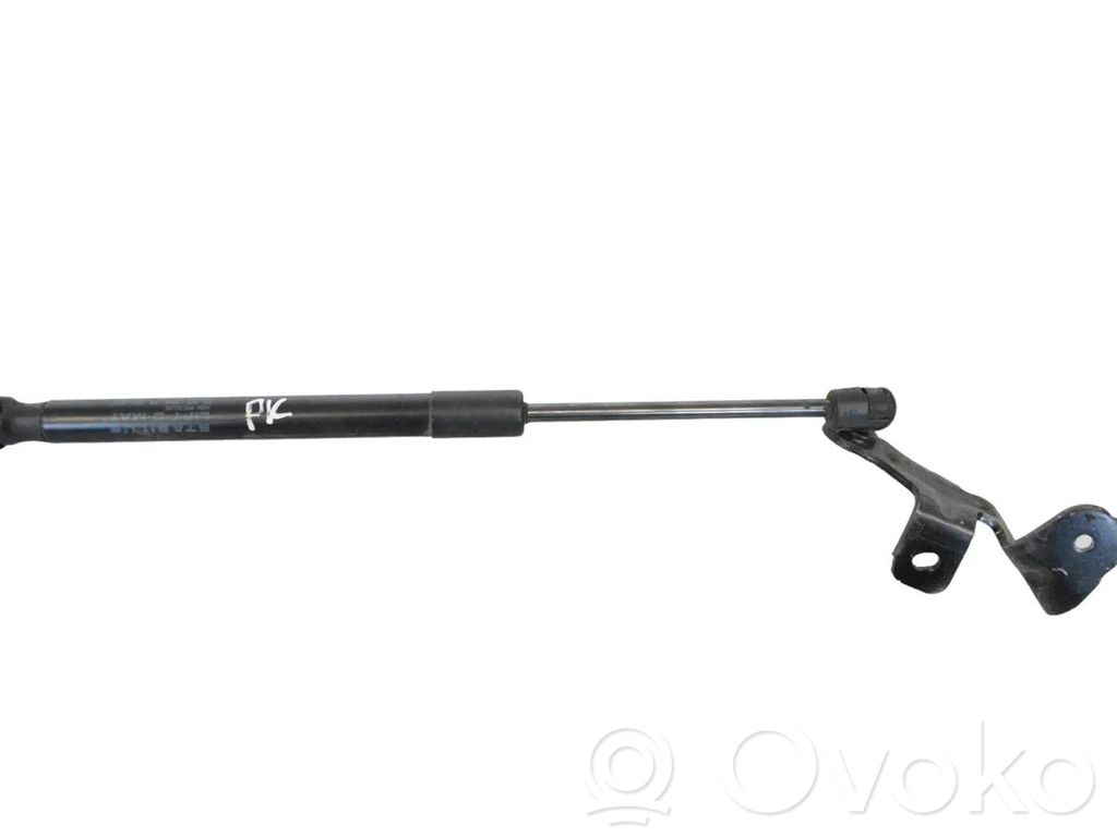 Amortizor capotă motor   109147200B