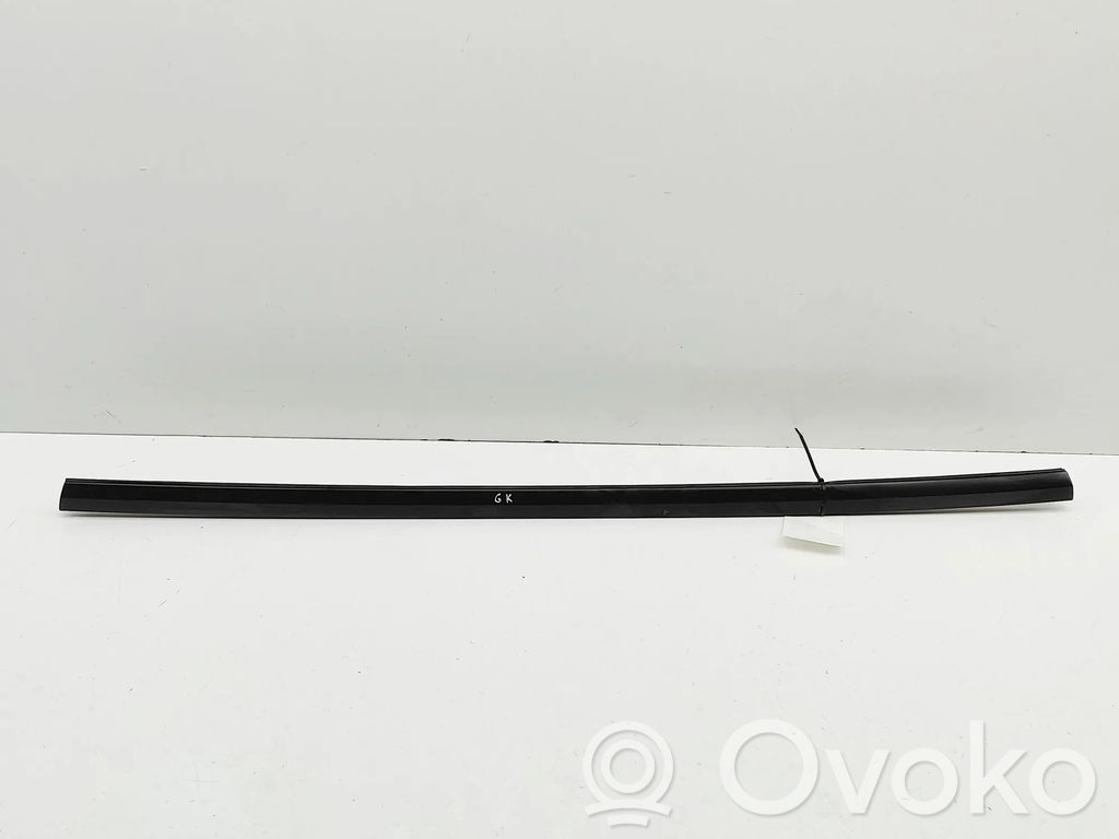 Tesla Model 3 Highland Listwa / Uszczelka szyby drzwi tylnych 