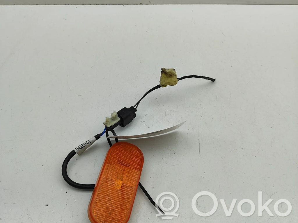 Ford Transit VII Seitenblinker 