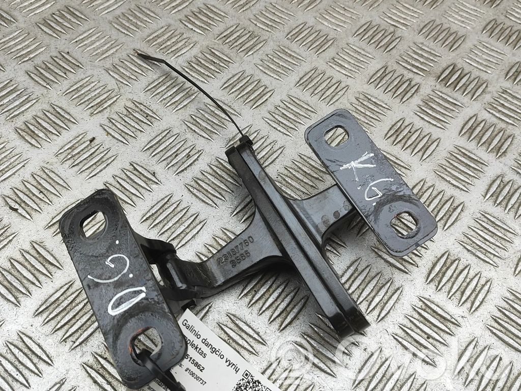 Chevrolet Corvette C7 Tailgate/trunk/boot hinge 