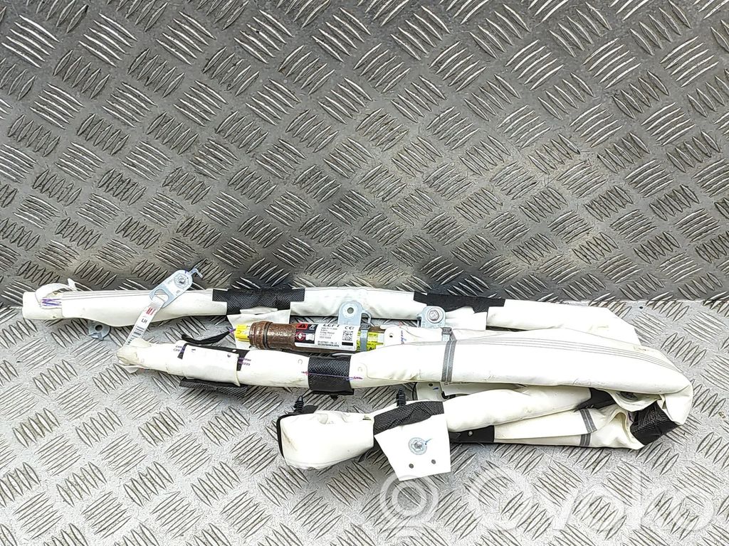 Tesla Model 3 Airbag del techo 