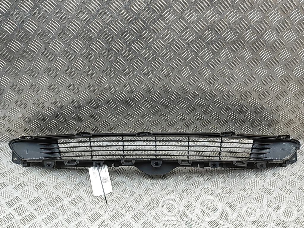 Tesla Model 3 Grotelės priekinės 