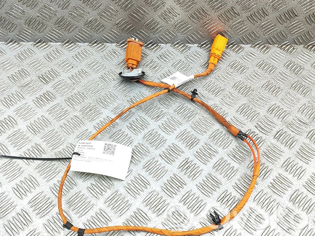 Alte cablaje   1EA971475F