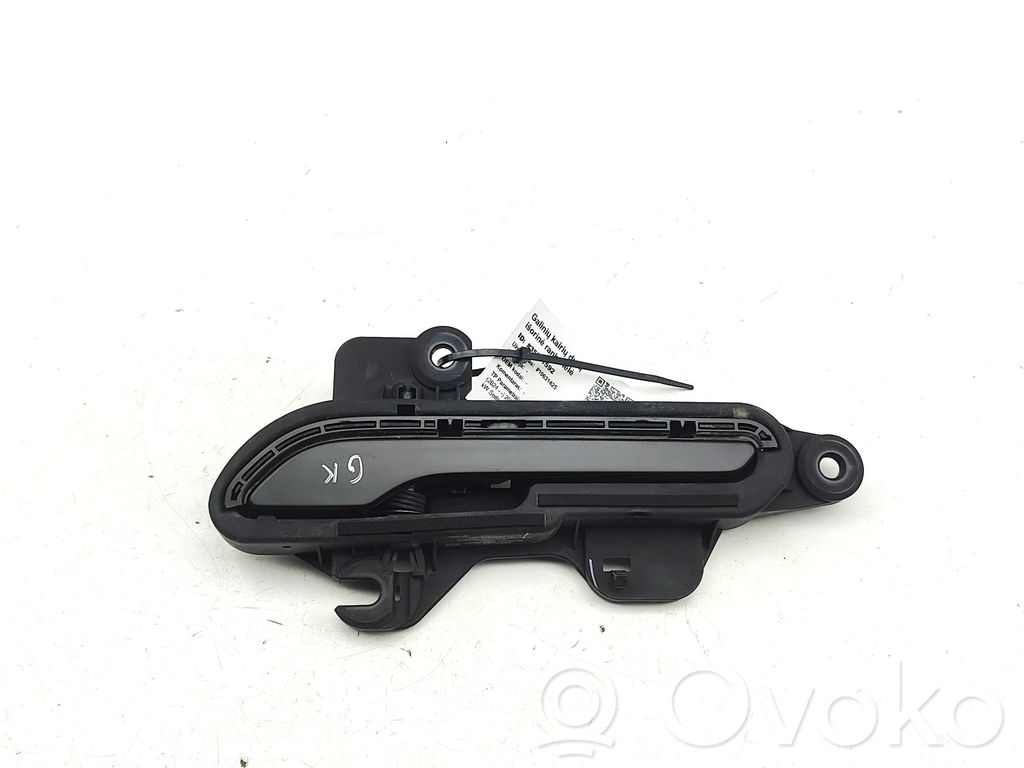 Manecilla externa puerta delantera   178088400A