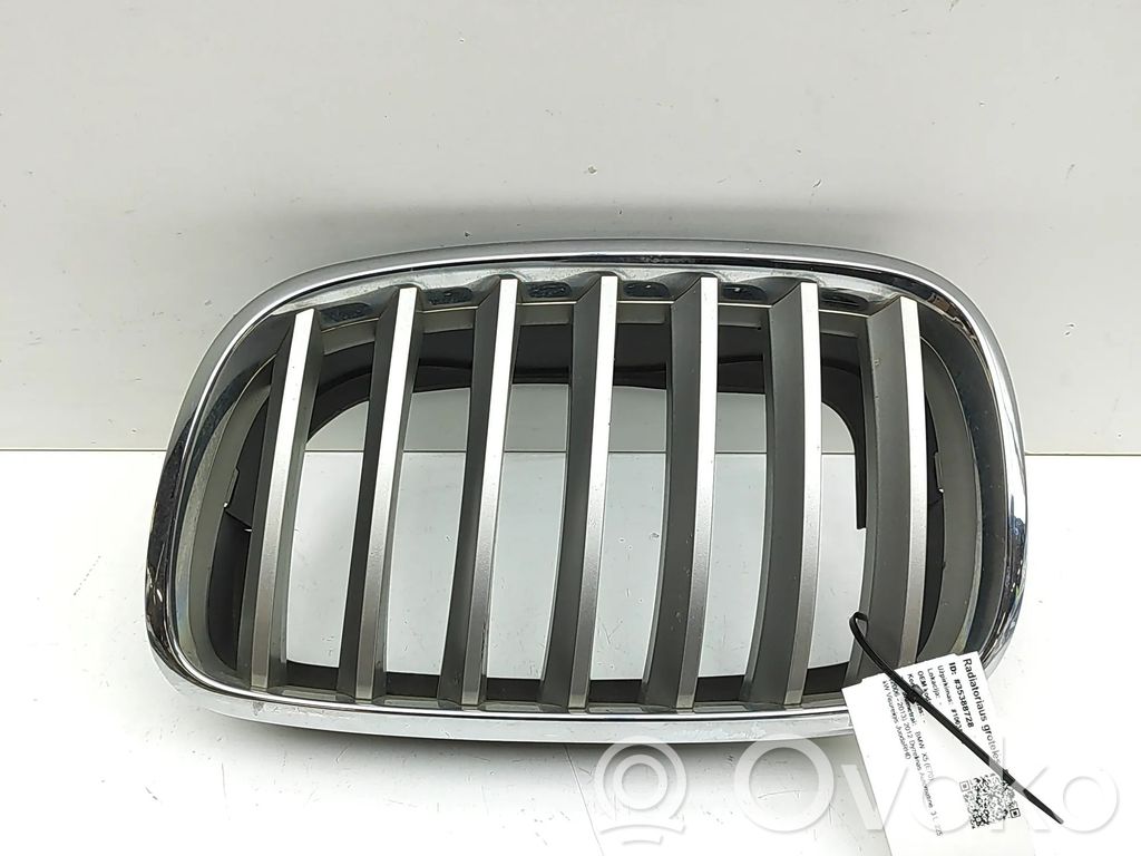 BMW X5 E70 Rejilla delantera 