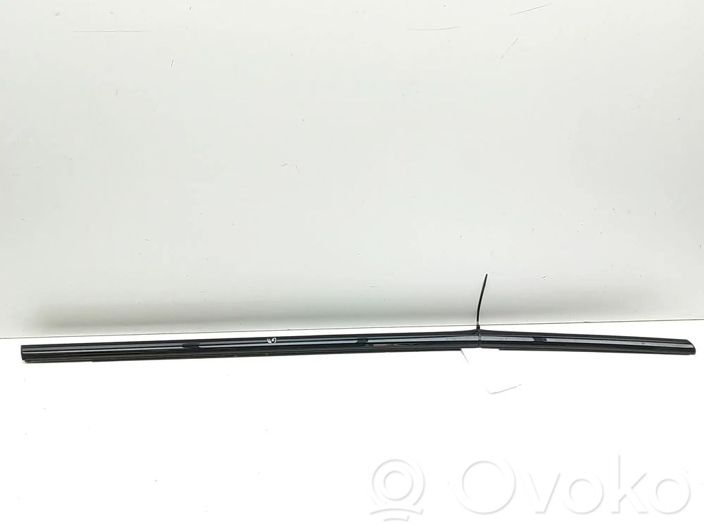 BMW 5 G60 G61 Listón embellecedor de la ventana de la puerta trasera 