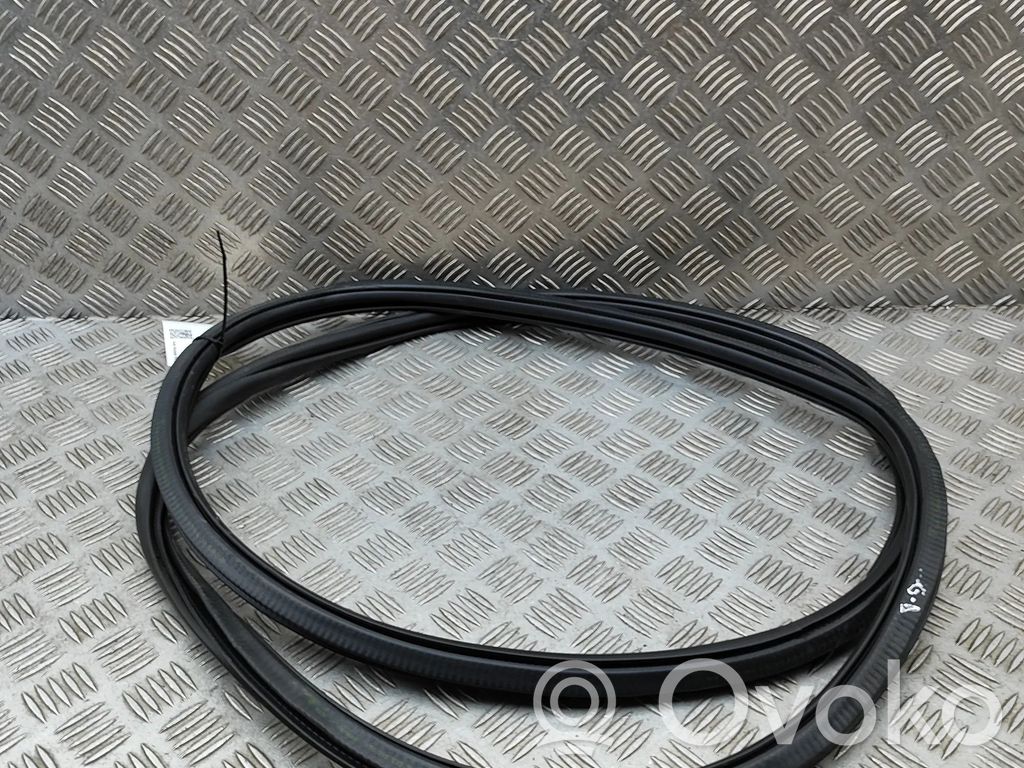 Porsche Cayenne (9Y0 9Y3) Gumowa uszczelka drzwi tylnych 