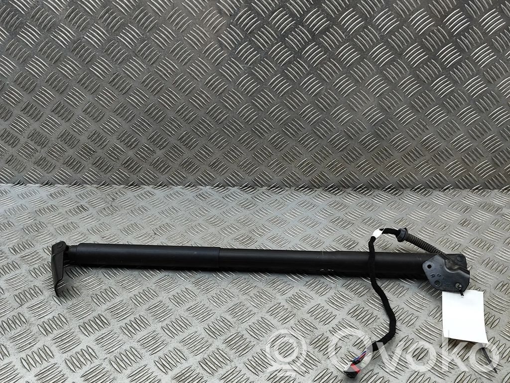 Porsche Cayenne (9Y0 9Y3) Amortizor hayon 