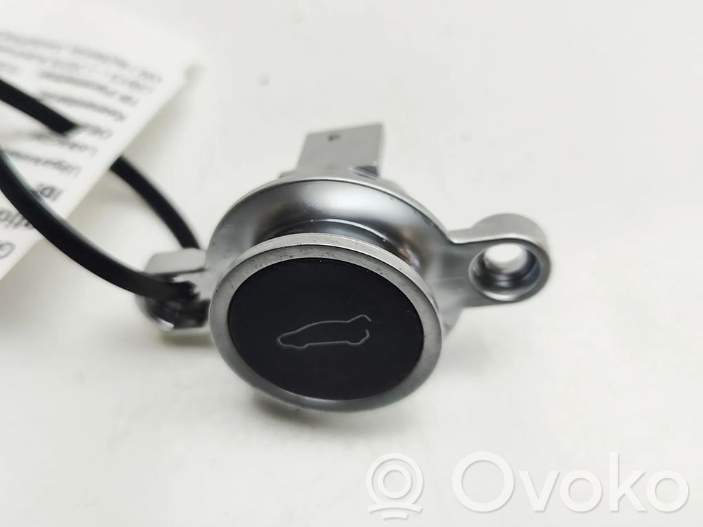 Tailgate/boot open switch button   104262900C