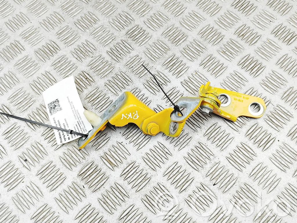 Ford Mustang Mach-E Front door hinges set 