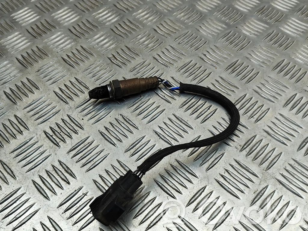 Lambda zondas   31480460