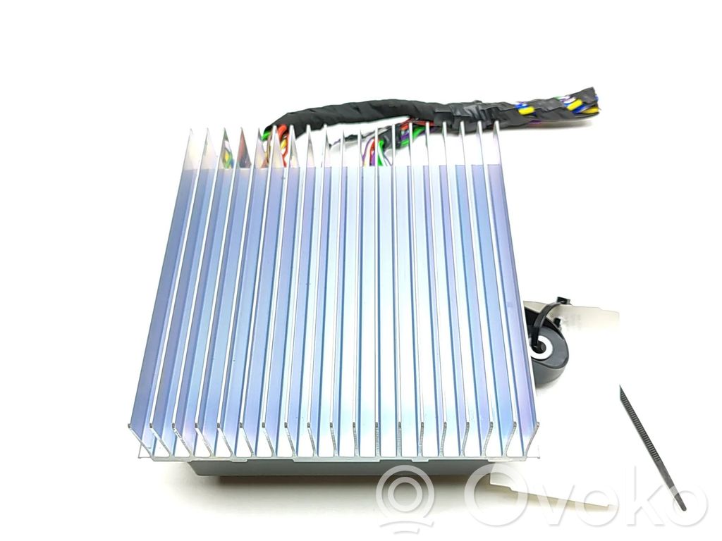 Tesla Model Y Juniper Amplificatore 