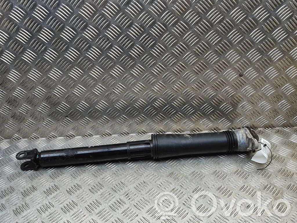 BYD Atto 3 Amortiguador trasero 
