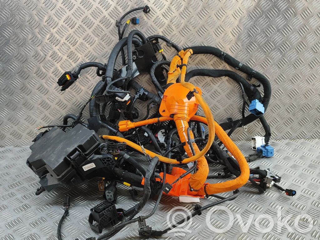 KIA Niro Cableado de instalación del motor 