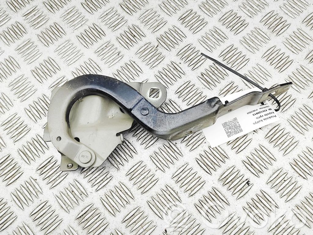Renault Zoe Charnière, capot moteur 