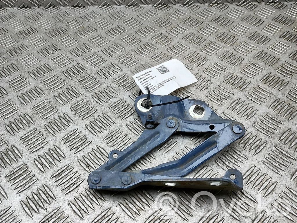 Ford Transit VII Konepellin saranat 