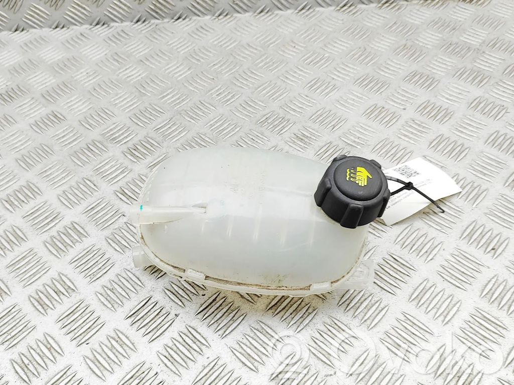Renault Arkana Vas expansiune/rezervor lichid de răcire