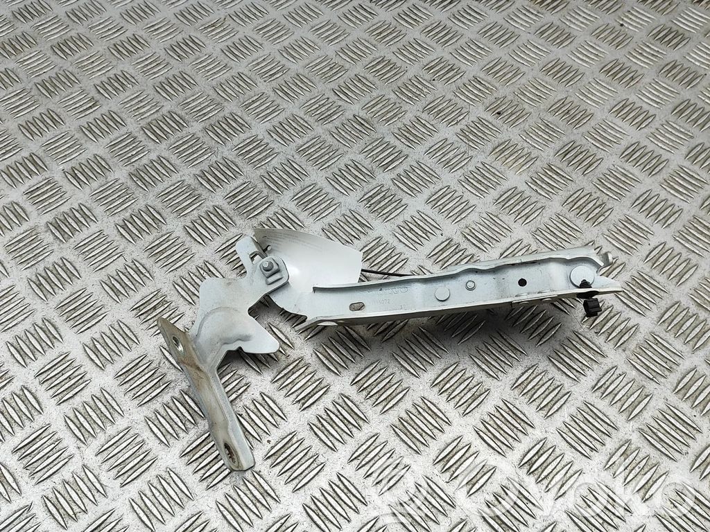 Balamale capotă   31385072