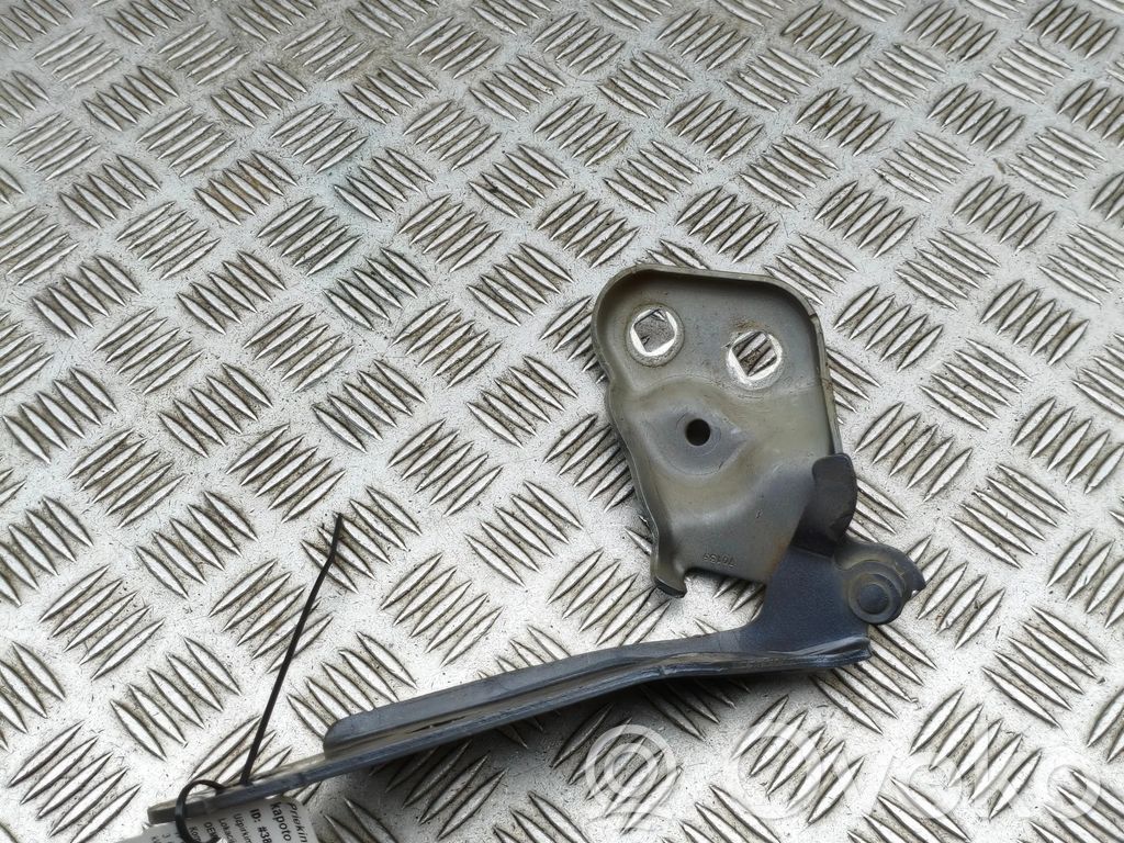 Tesla Model 3 Cerniere del vano motore/cofano