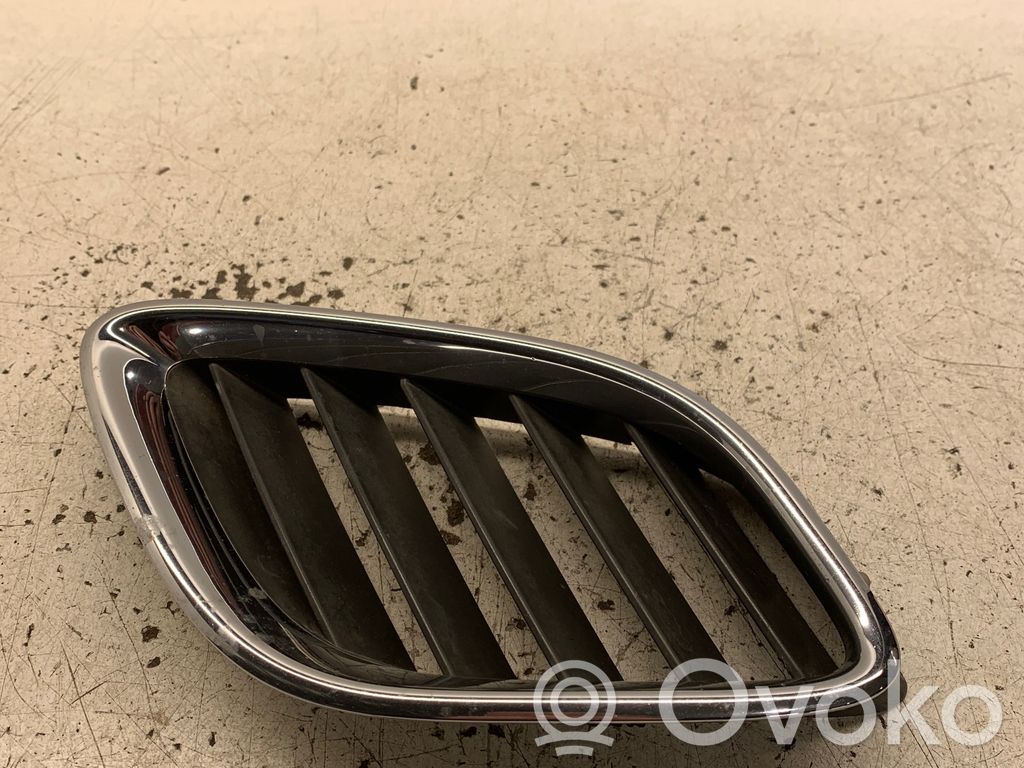 Front grill   5142864