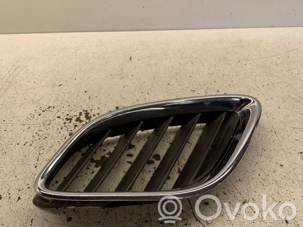 Front grill   5142812