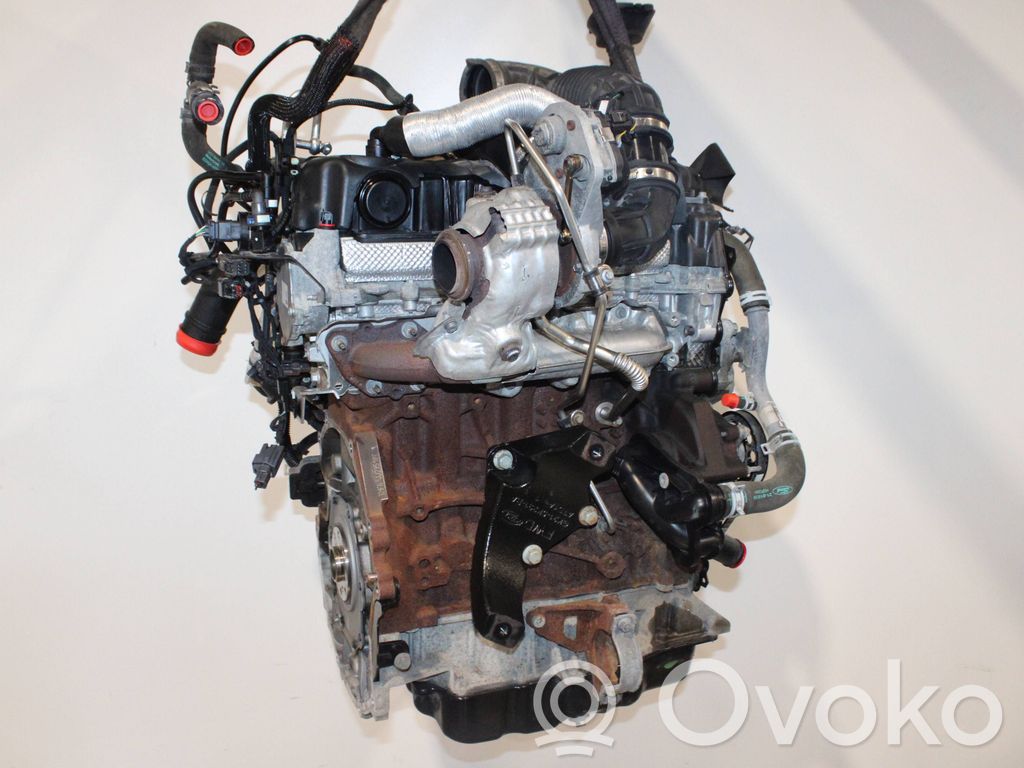 Engine   YMF6