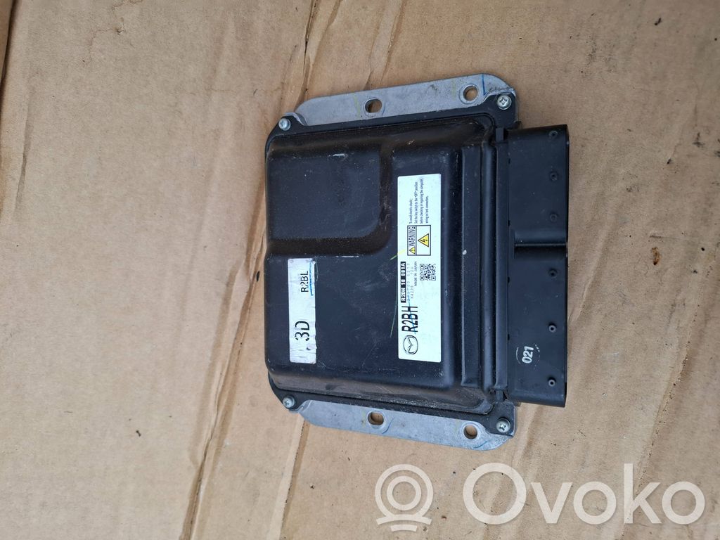 Engine control unit/module   R2BH18881A