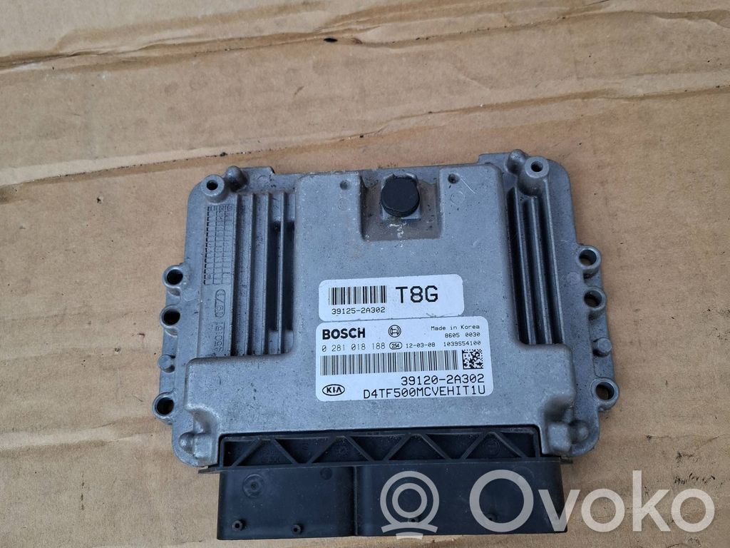 Unidad de control/módulo del motor   391252A302,391202A302,0281018188