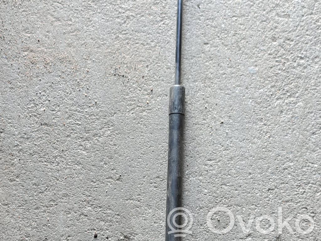 Audi A6 S6 C6 4F Amortizatorius galinio dangčio 