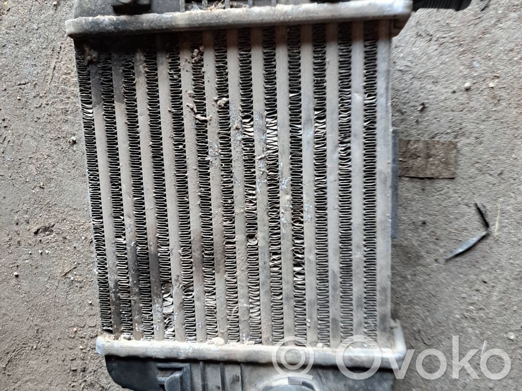 Audi A6 S6 C6 4F Interkūlerio radiatorius 