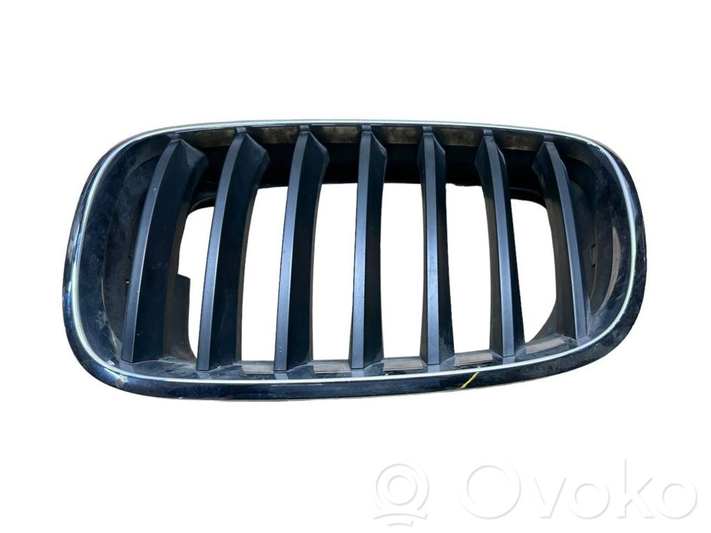 Front bumper lower grill   7171395,51137171395