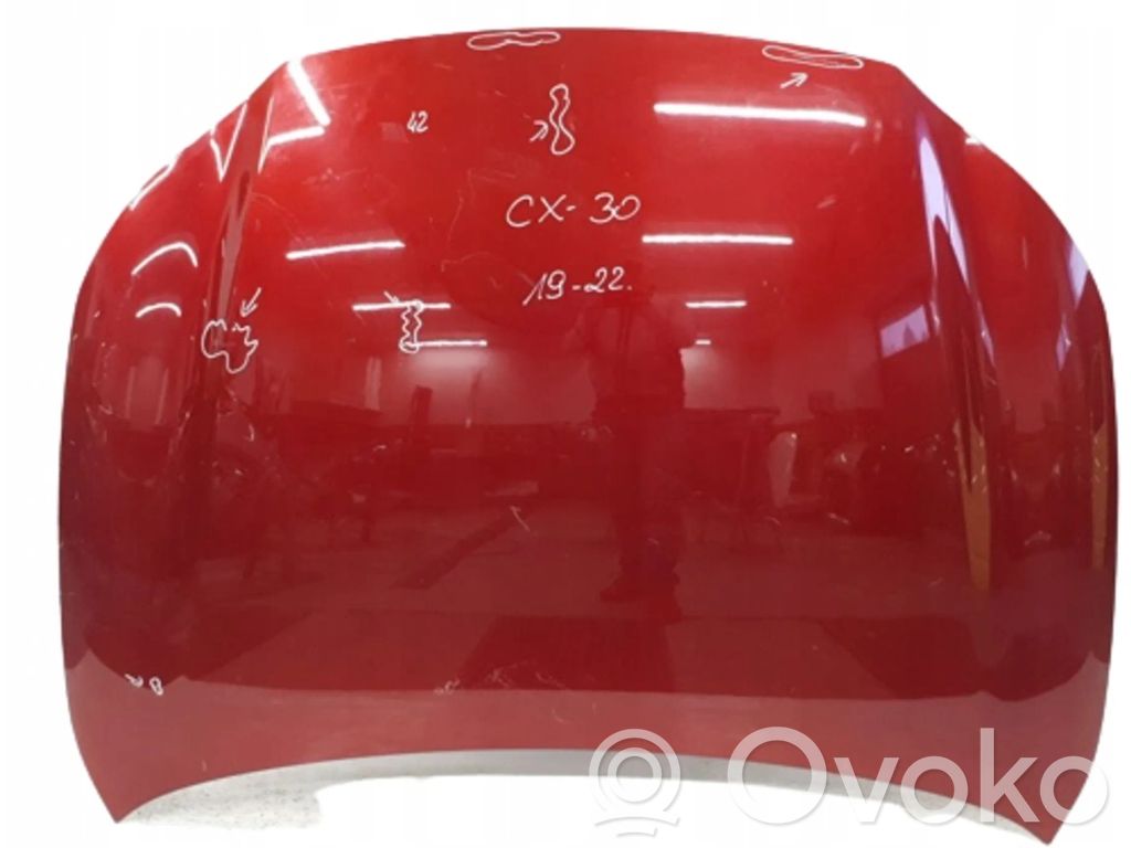 Engine bonnet/hood