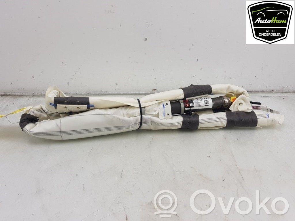 Tesla Model 3 Airbag del techo 